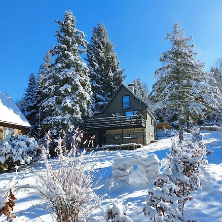 Chata 100 Český Jiřetín Exterior foto