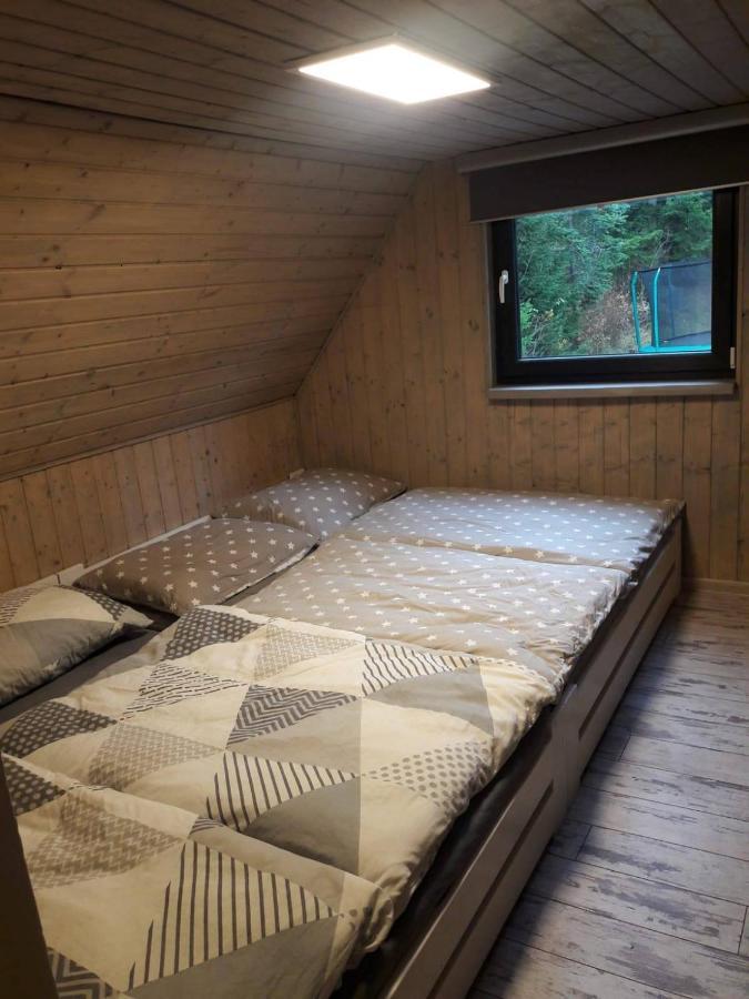 Chata 100 Český Jiřetín Exterior foto